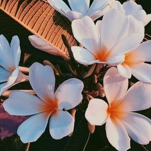 Meet your Posher, Briana